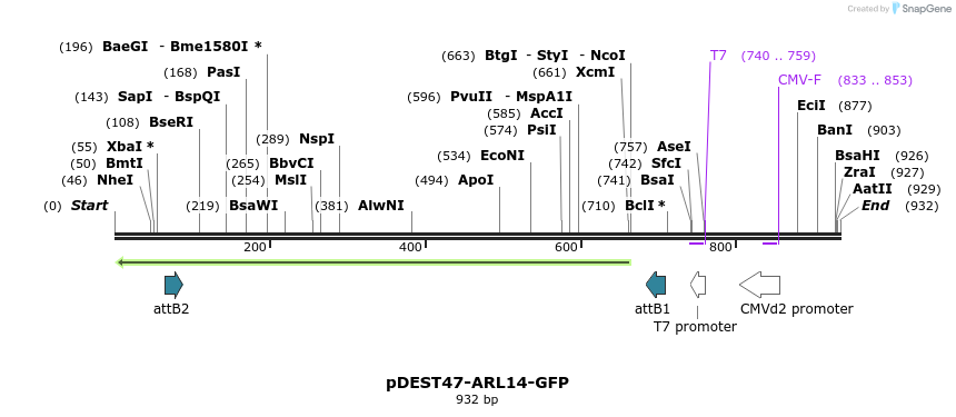 117997_map