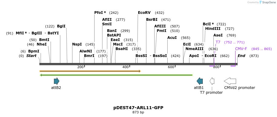 118002_map