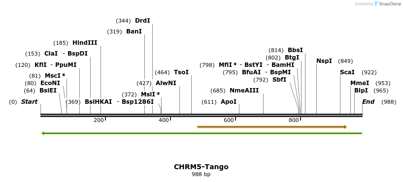 118003_map