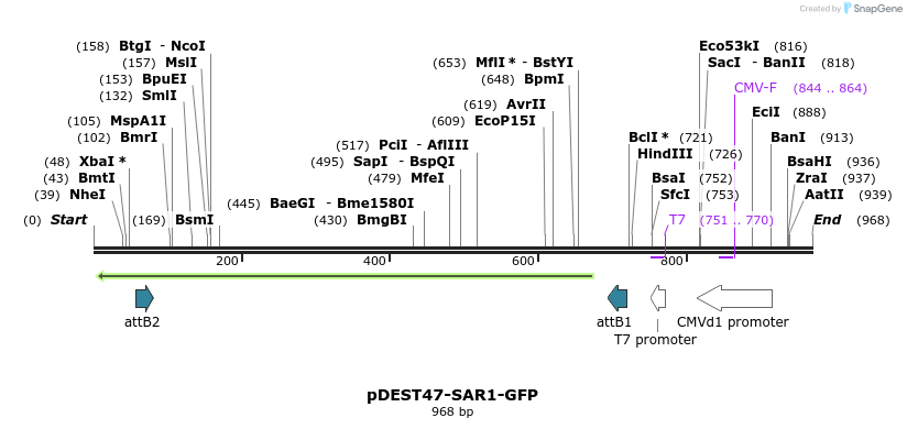 118005_map