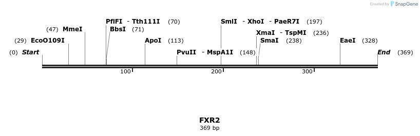 11801_map