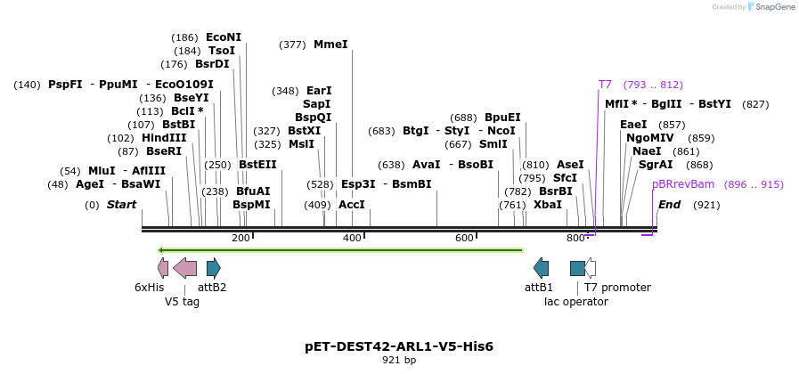 118012_map