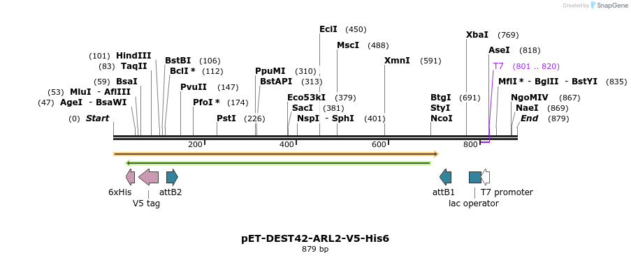 118014_map