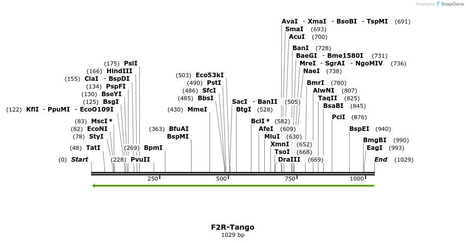 118015_map