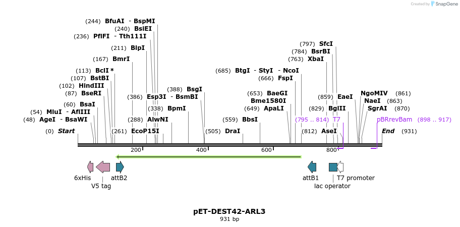 118019_map
