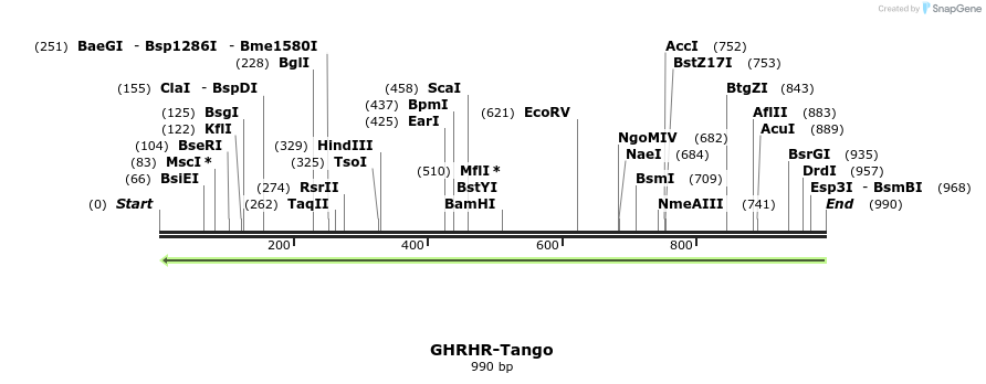 118020_map