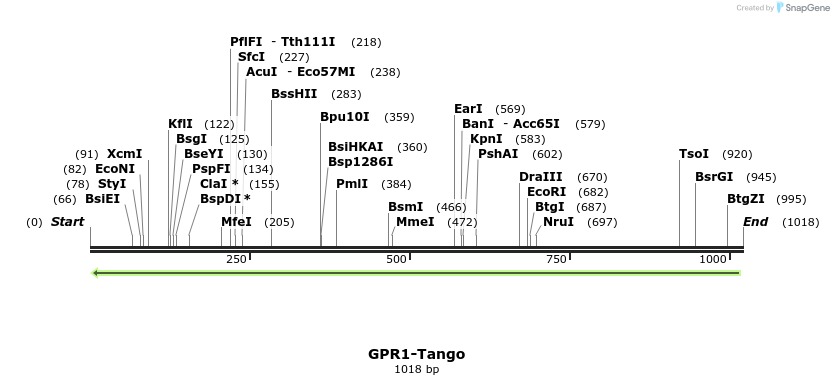 118021_map
