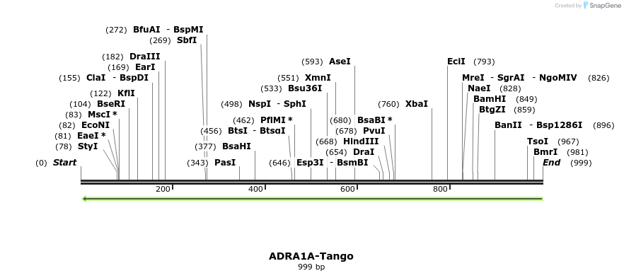 118023_map
