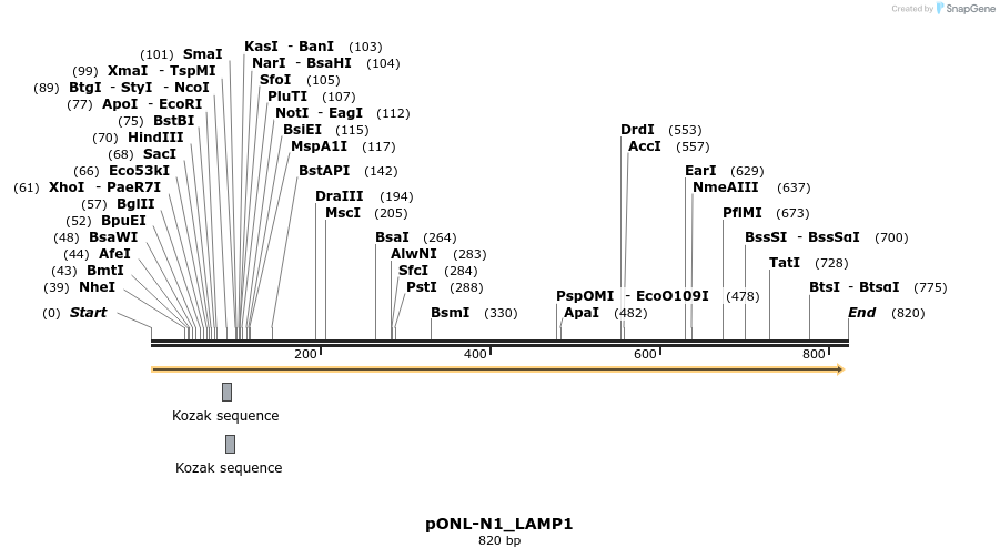 118024_map