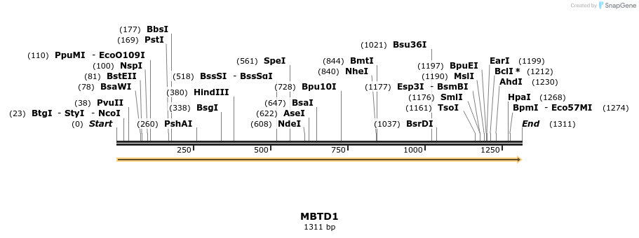 11803_map