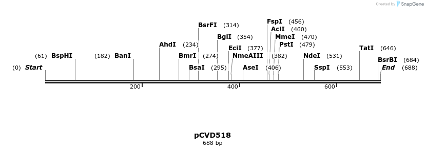 118031_map
