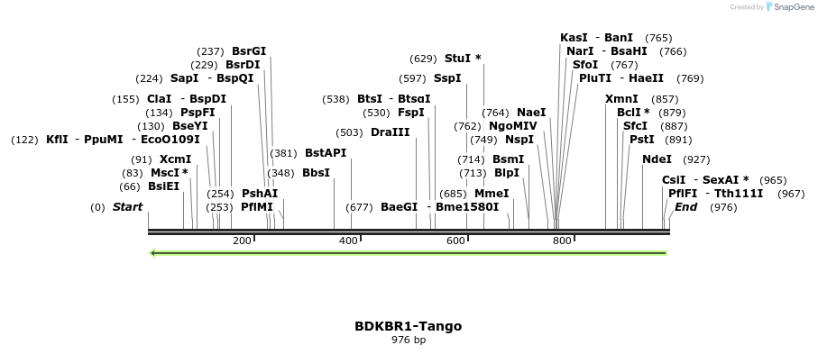 118032_map