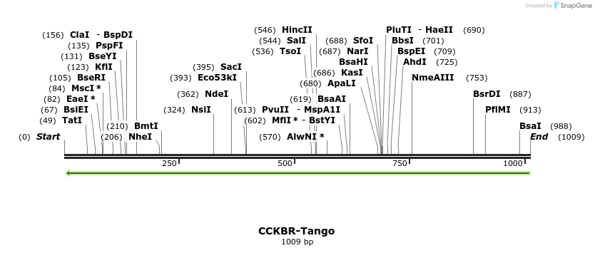 118033_map