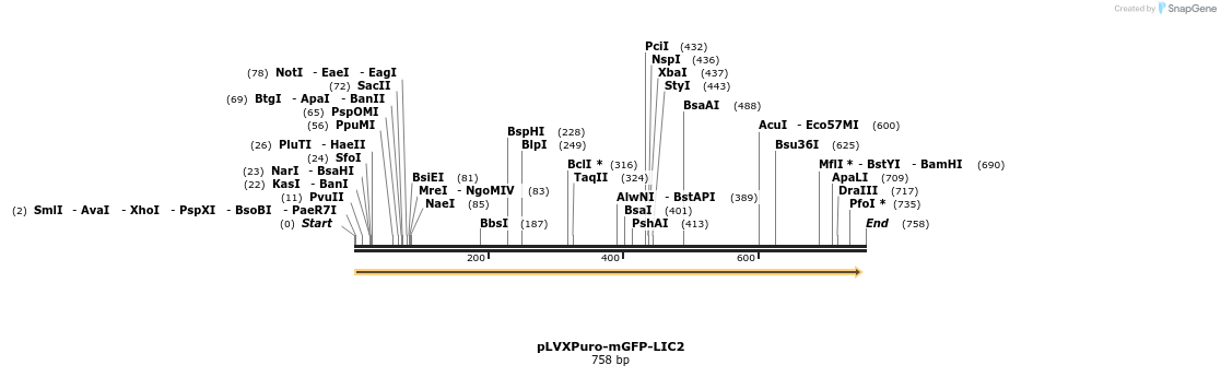 118035_map