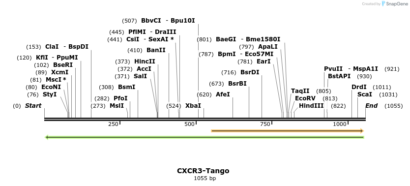 118036_map