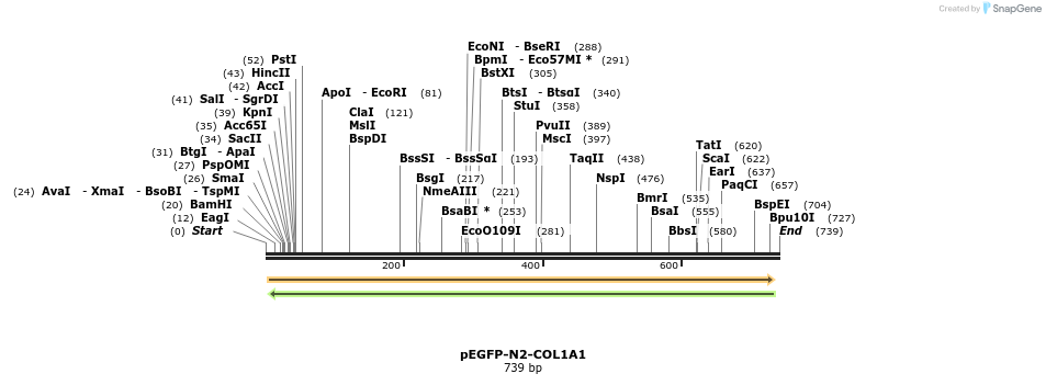 118037_map