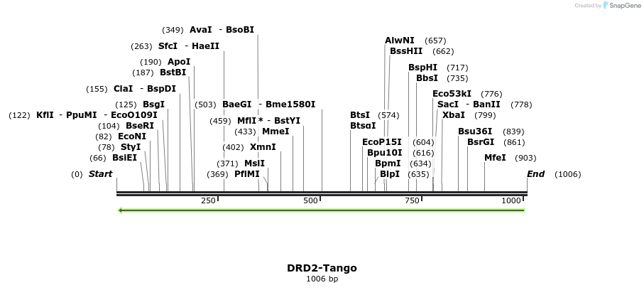 118038_map