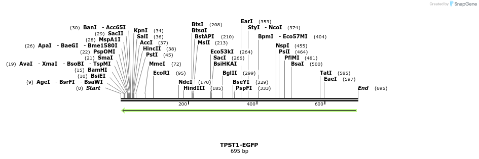 118039_map