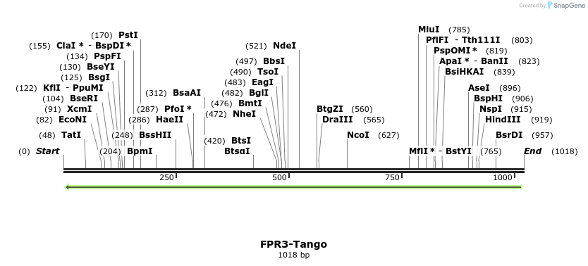 118041_map