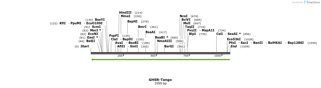 118042_map
