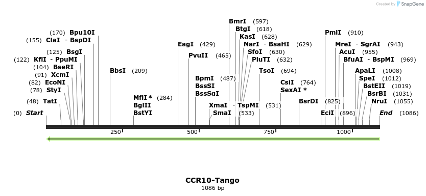 118049_map