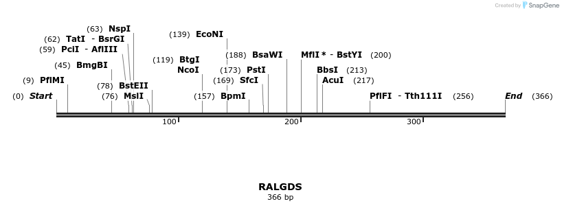 11805_map