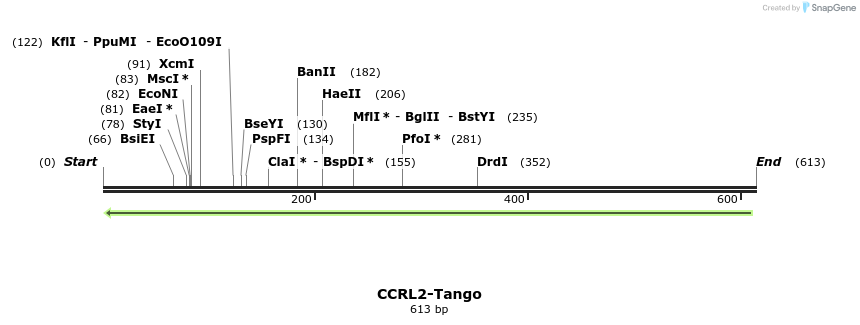 118050_map