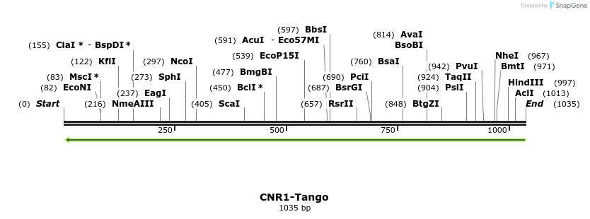 118051_map