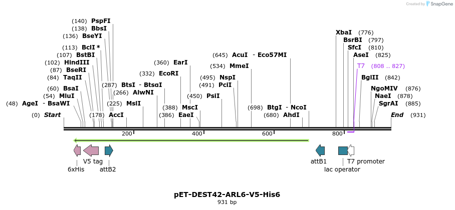 118054_map