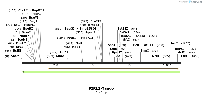 118057_map
