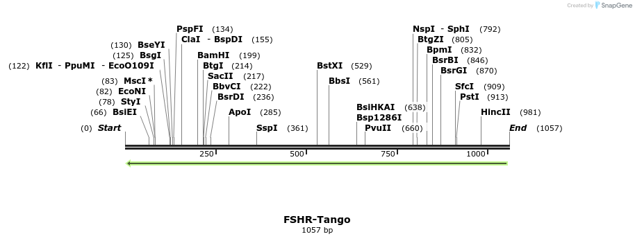118058_map
