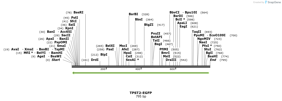 118059_map