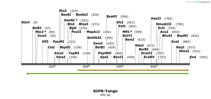 118062_map