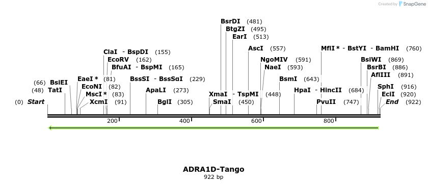 118066_map