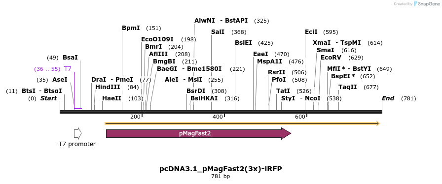 118067_map