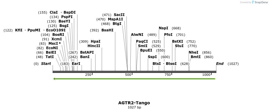 118069_map