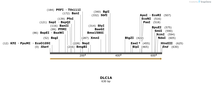 11807_map
