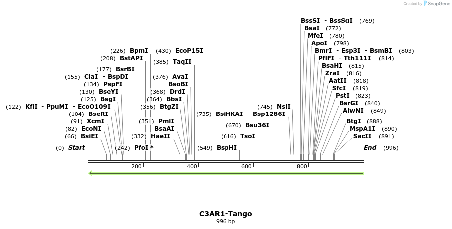 118070_map