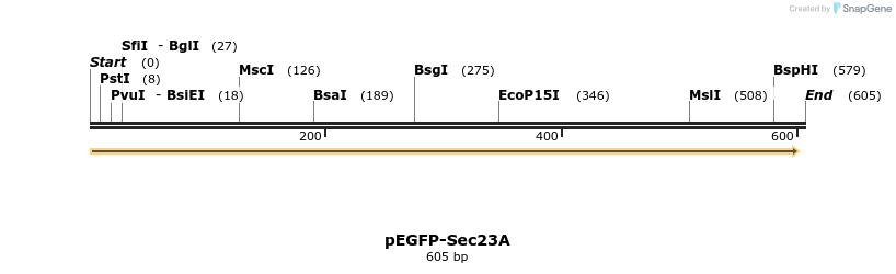 118071_map