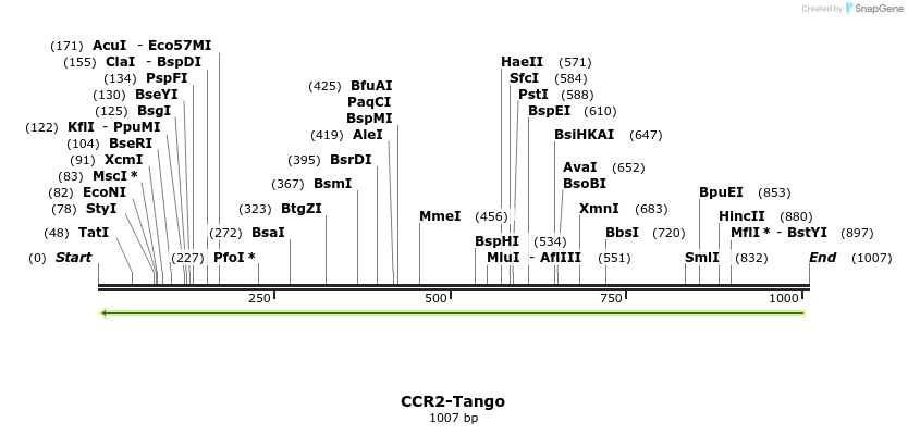 118072_map