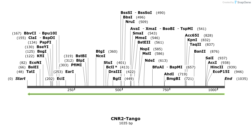 118073_map