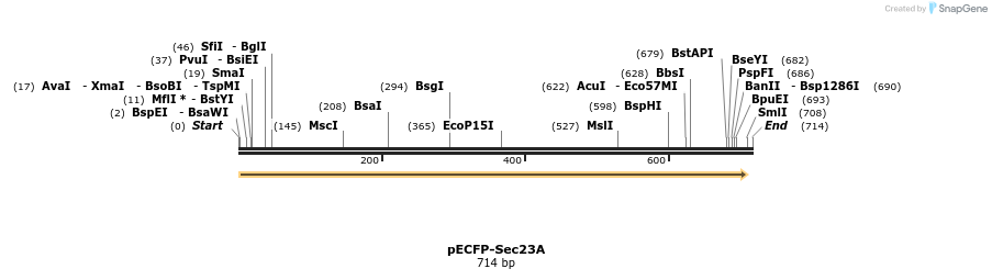 118074_map