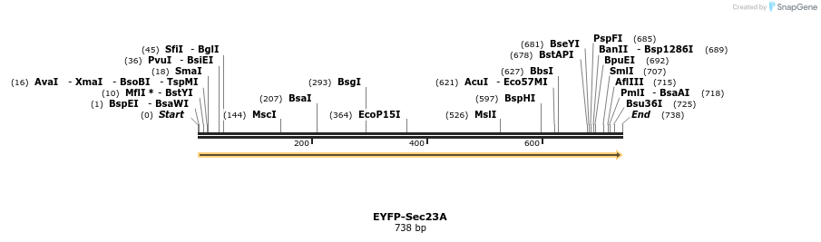 118076_map