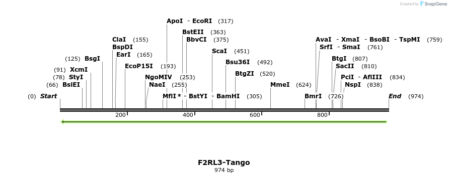 118079_map