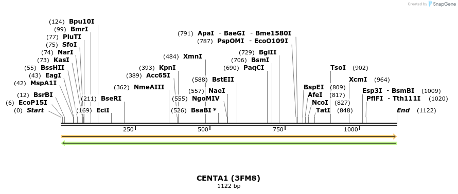 11808_map