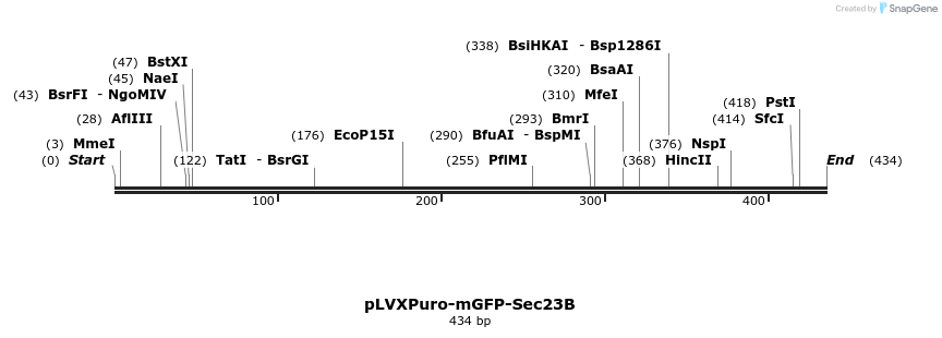118080_map