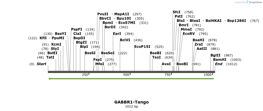 118081_map