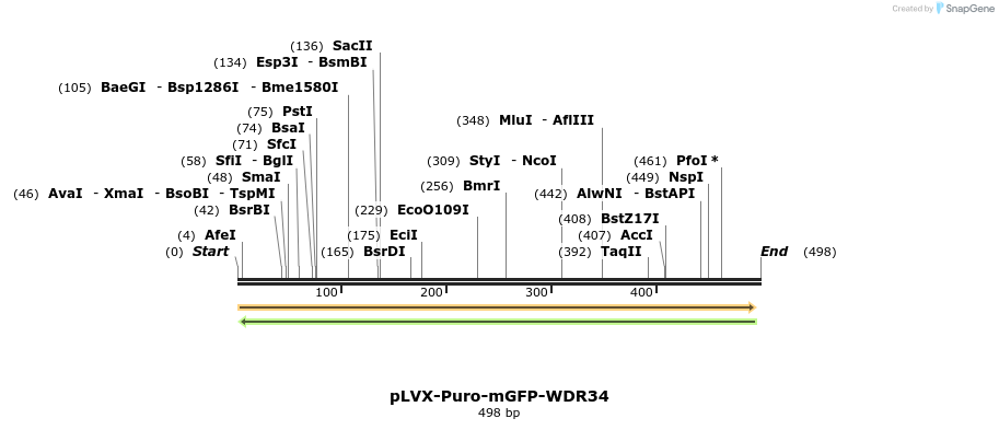 118082_map