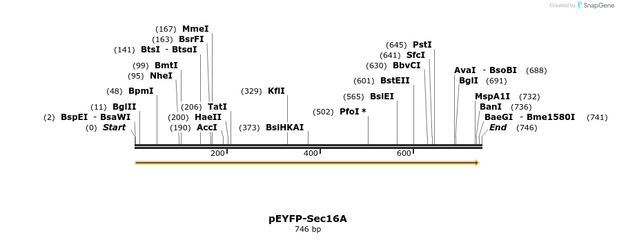 118083_map