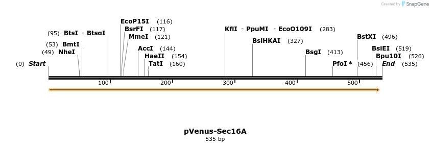 118085_map